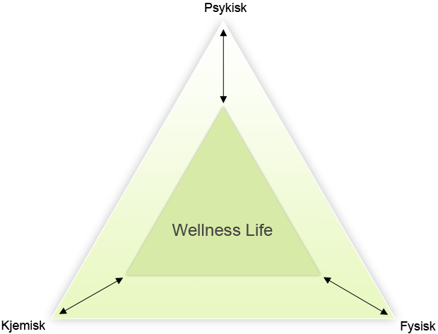 Blogg "Wellness life pyramiden"